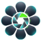 BidiPic